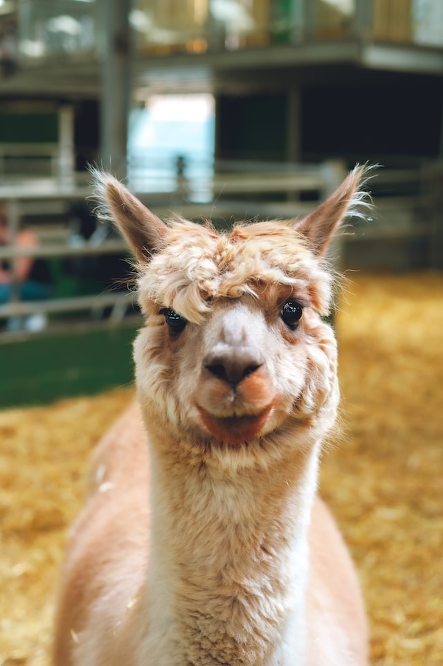 Photo by Harry Grout on Unsplash