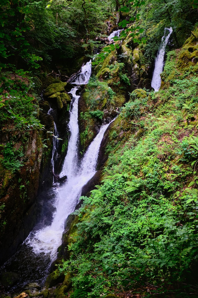 Photo by Ian Cylkowski on Unsplash