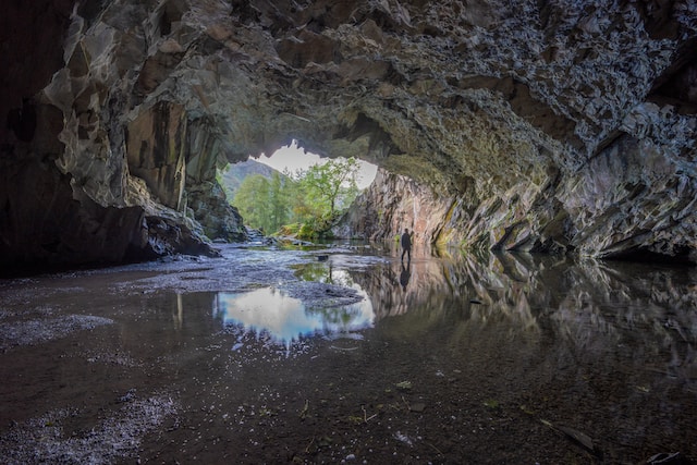Photo by Jonny Gios on Unsplash