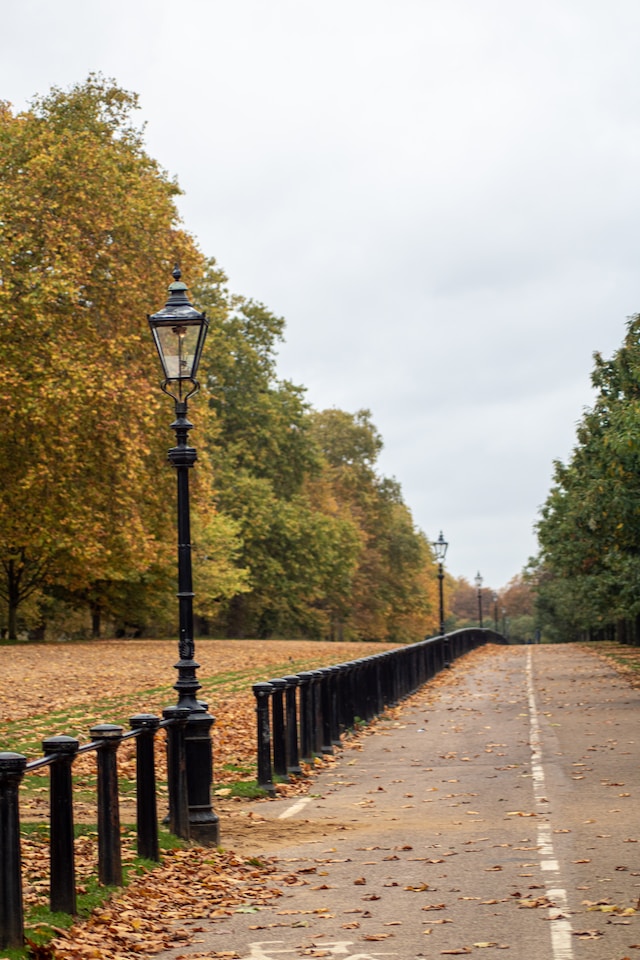 Photo by Paul Schellekens on Unsplash